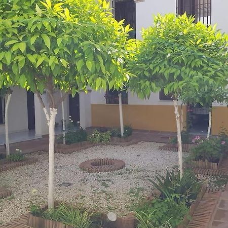 Precioso Apartamento Junto A Plaza La Corredera قرطبة المظهر الخارجي الصورة
