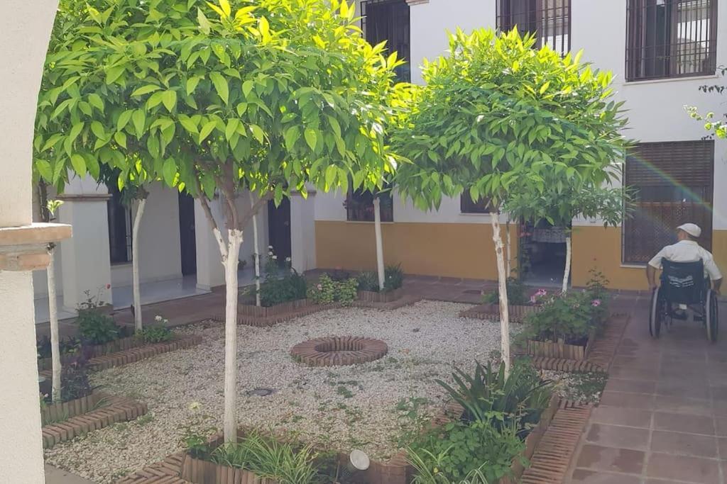 Precioso Apartamento Junto A Plaza La Corredera قرطبة المظهر الخارجي الصورة